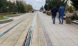 Eskişehir'de bakımsız kalan Hatboyu her geçen gün daha da yıpranıyor