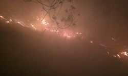 Yıldırımın düştüğü ormanlık alanda yangın çıktı