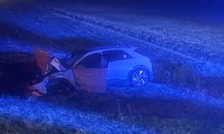 Otomobil yola çıkan ineğe çarptı