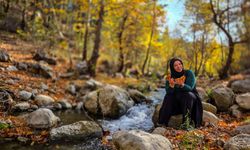 Belemedik, sonbaharda renk cümbüşüne büründü