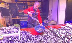 Hamsinin fiyatı düştü: Eskişehir'de vatandaş tezgahların yolunu tuttu