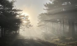 Bozdağ zirvesindeki sis manzarası hayran bıraktı