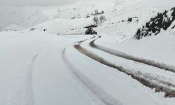 Siirt'te araçlar yolda mahsur kaldı