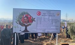 Seyitgazi’de şehit olan AKUT gönüllüleri için hatıra ormanı oluşturuldu