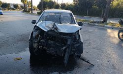 Palmiyeye çarpan otomobil hurdaya döndü