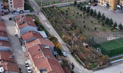 Eskişehir'de çöplüğü fidanlığa çevirdi