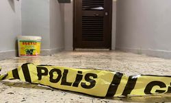 Anne ve ağabeyini yataklarında öldürdü