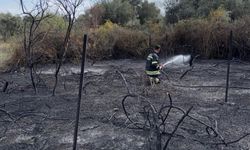 Üzüm bağları alevlere teslim oldu