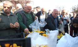 Mandalinanın fiyatı 2 TL'ye düşünce tonlarca ürünü vatandaşlara ücretsiz dağıttılar