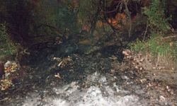 Bucak'ta arazi yangını