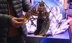 İskenderun'dan gelen lezzet