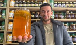 Coğrafi işaretli kestane ve orman gülü balları raflardaki yerini aldı