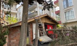 Ağaç budarken düşen vatandaş yaralandı