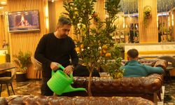 Kafede mandalina yetiştiriyor, müşterilerle paylaşıyor