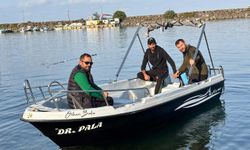 Trabzon kıyılarında köpek balığı hareketliliği arttı