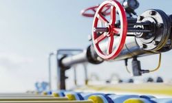 PALEN, kış ortasında dondurdu