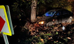 Kontrolden çıkan otomobil ağaca çarp ağaca çarptı