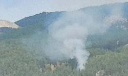 Muğla'da çıkan orman yangını kontrol altına alındı