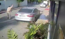 Köpeği silahla vuran emekli polis için 4 yıla kadar hapis talebi