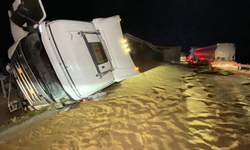 Tır devrildi, saçılan hayvan yemi yolu kapattı