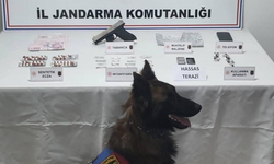 Jandarmadan torbacı operasyonu: 1 kişi tutuklandı
