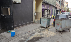 Eskişehir'de o sokak kokudan geçilmiyor: Mahalleli isyan etti!