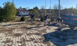 Eskişehir'in o ilçesinde temizlik seferberliği