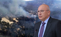 Seyitgazi orman yangını soruşturmasına takipsizlik kararı çıktı: CHP'li Çakırözer tepki gösterdi