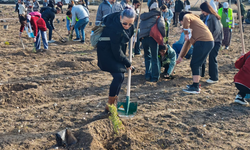 Eskişehir’de Yunus Emre Ormanı için ilk fidanlar toprakla buluştu