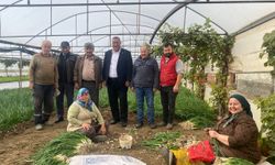 Milletvekili Gürer Eskişehirli üreticinin sorunlarını dinledi: “Üretici kazanamıyor, tüketici pahalıya ürün alıyor”