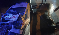 Ambulans mandaya çarptı