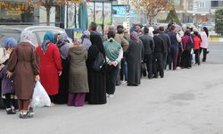 Çorum’da hamsinin kilosu 40 liraya düştü: Metrelerce uzunlukta kuyruk oluştu