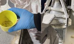 Fırın denetiminde mide bulandıran görüntüler, zabıta böcek çeşitlerini saymakla bitiremedi