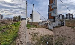 Devrilen internet direğinin çevreye dağılan kabloları risk oluşturuyor