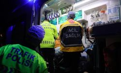 Kediye çarpmamak için ani fren yapan motosikletli yola savruldu