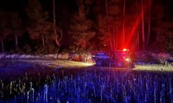 Muğla’da orman yangını