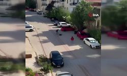 Yalvarmalara rağmen durmadı: Sokak ortasında katletti