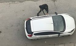 Muş'ta eski eşini pompalı tüfekle yaralayan şüpheli gözaltına alındı