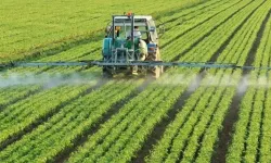 Tarımda yeni dönem başlıyor: Zirai ilaçlar reçeteyle satılacak!