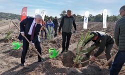 Eskişehir'de 17 bin fidanlık 40. yıl hatıra ormanı!
