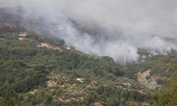 Hatay’da orman yangını