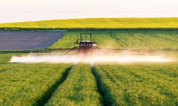 TMO’dan Eskişehirli üreticiyi de ilgilendiren açıklama geldi: “İthalat gündemi yok”