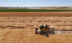 Eskişehir'in o ilçesinde su kuyularına sayaç takılıyor: Kısıtlamalar çiftçinin planını bozacak!