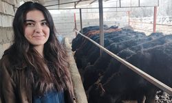 Atama beklerken hayvancılığa başladı
