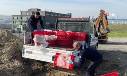 Esenyurt’ta kaçak ve sağlıksız 1 ton tavuk eti imha edildi