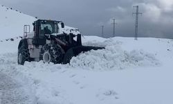 Şırnak’ta kar esareti: Beyaz örtü yarım metreyi geçti