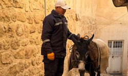 Mardin’de ’kadrolu’ eşekleri emekli edecek proje hayata geçiyor