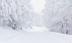 Rüyada kar yağdığını görmek ne anlama gelir?