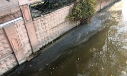 Porsuk Çayı’nda gizli tehlike: Kirli su ve farelerin artışı endişe yarattı