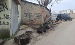 Eskişehir'de o sokakta çöp manzarası tepki çekiyor